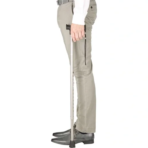 walking stick