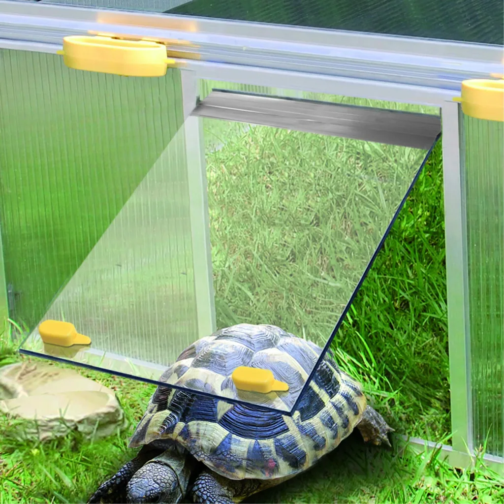 Turtle House PAULA