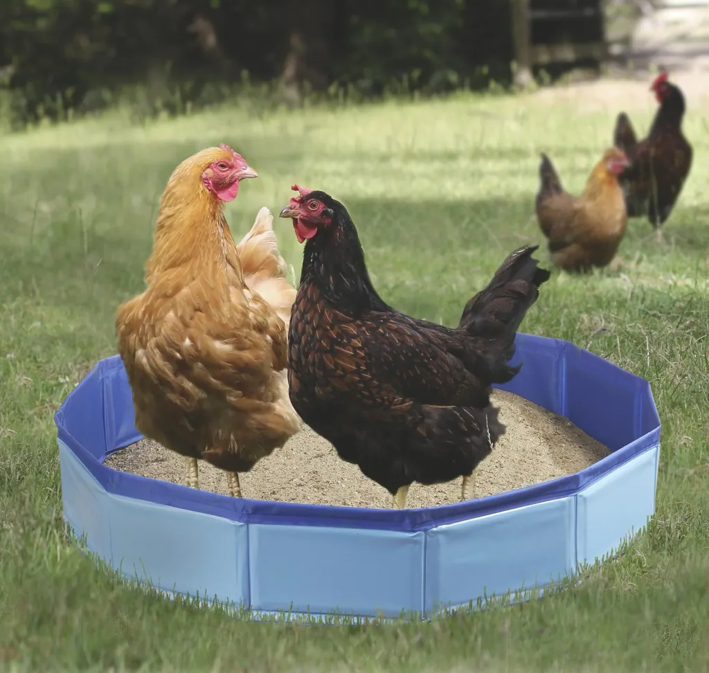 Universal Mini Pool