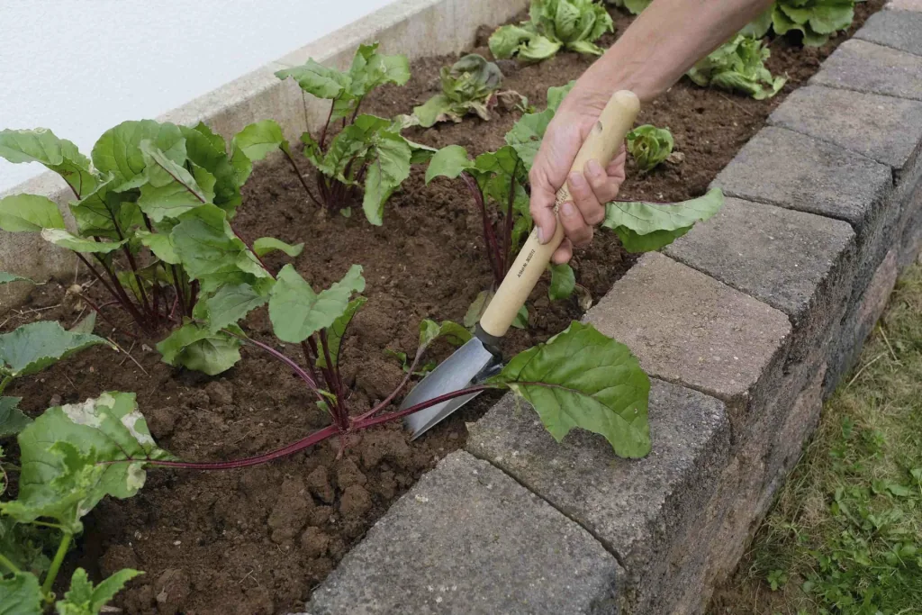 Raised bed flower trowel “65211”, 45 cm