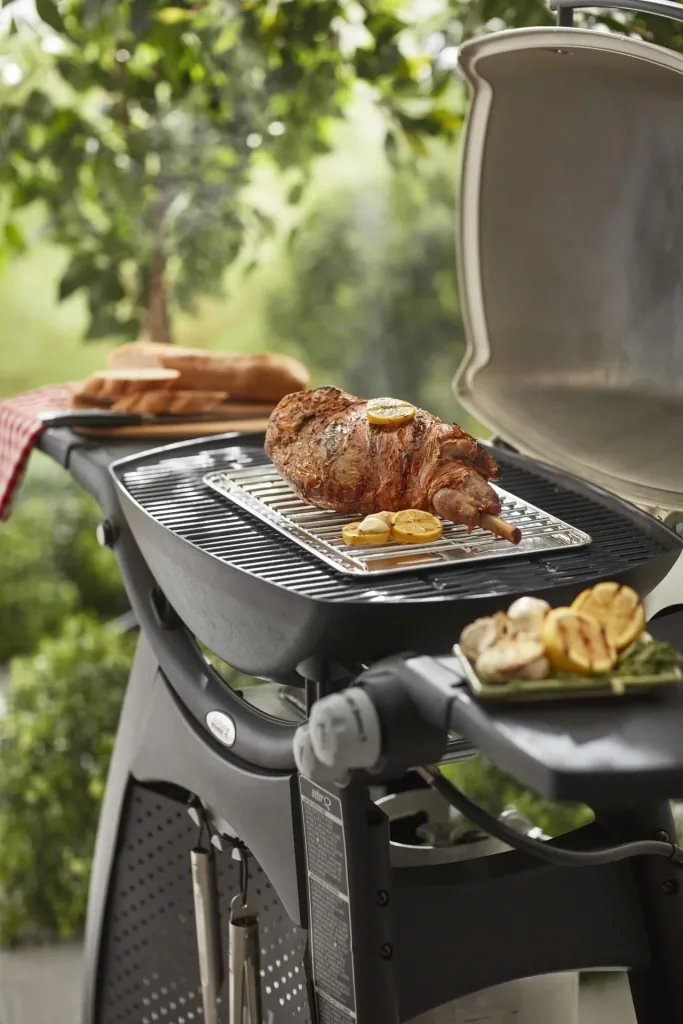 Roasting rack for heat shield, large