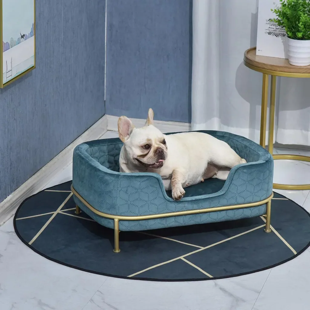 Dog sofa with backrest pet