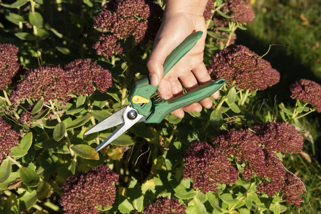 One-handed garden shears, florist design