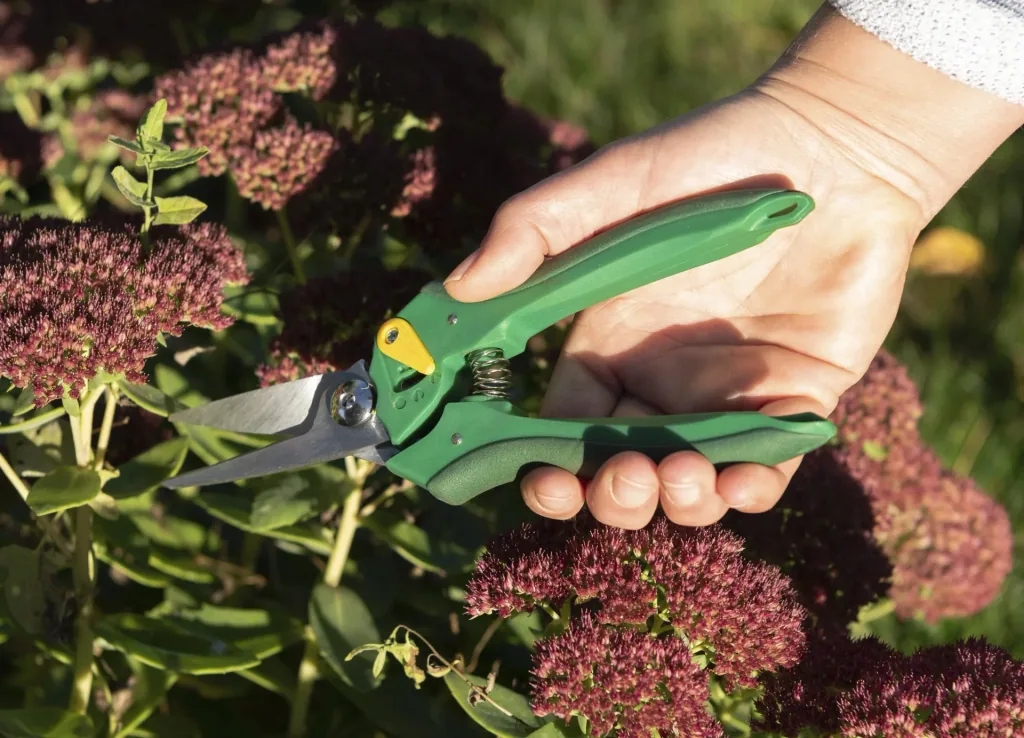 One-handed garden shears, florist design