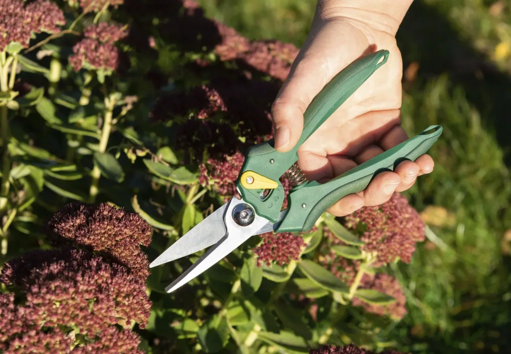 One-handed garden shears, florist design