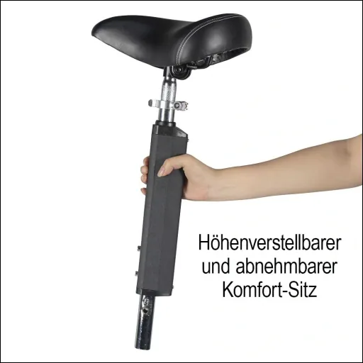 E-scooter "Camper" Basic 20 km/h including removable shopping basket black