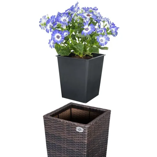 Flowerpots polyrotan set of 3 brown