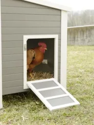 Eco-plastic coop "Barney" for chickens - UV and weather resistant