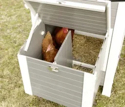 Eco-plastic coop "Barney" for chickens - UV and weather resistant