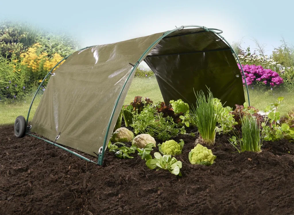 Cold frame + chicken tunnel starter set