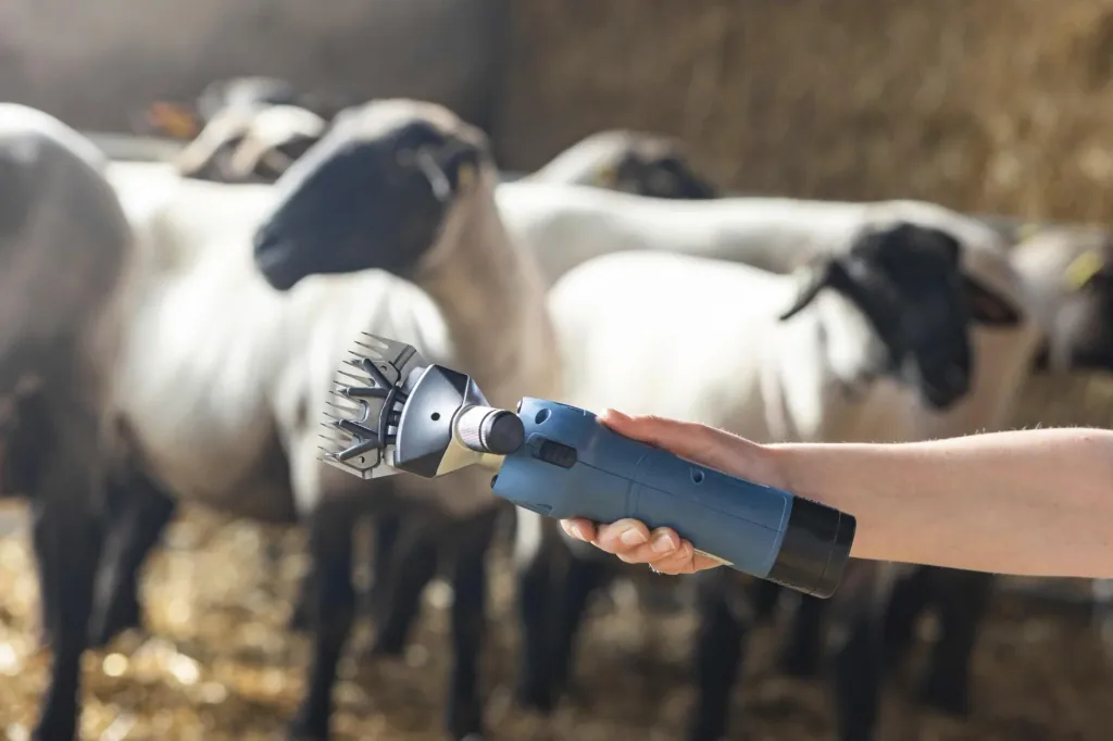 FarmClipper Akku2 for sheep