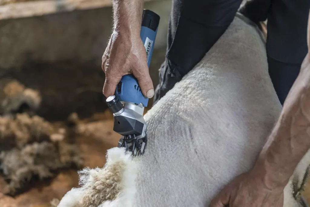 FarmClipper Akku2 for sheep