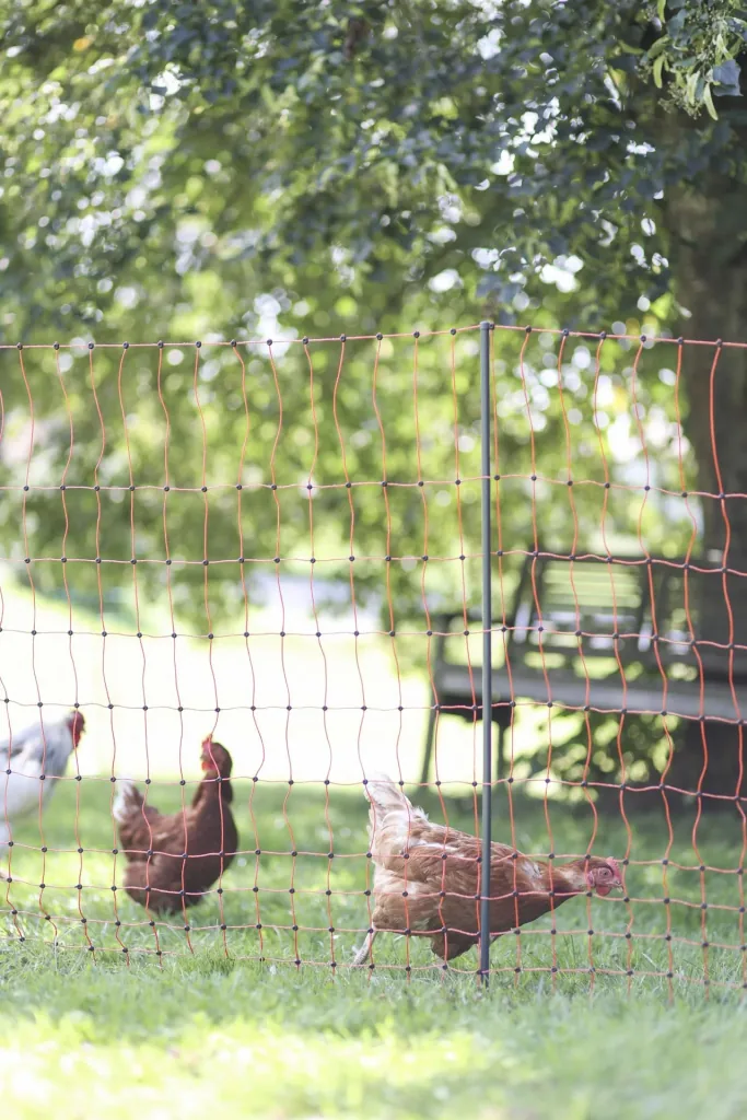 Replacement post for poultry nets, 2 tips, black, 106 cm