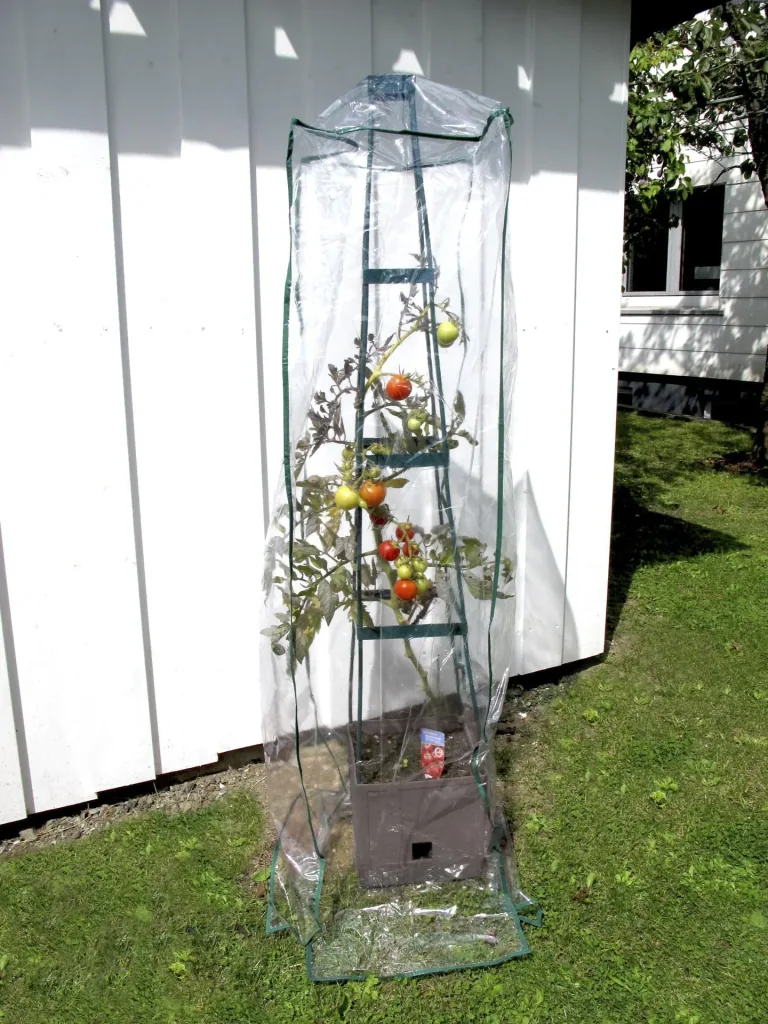 Plant tower Maxitom, anthracite in a value set with cover