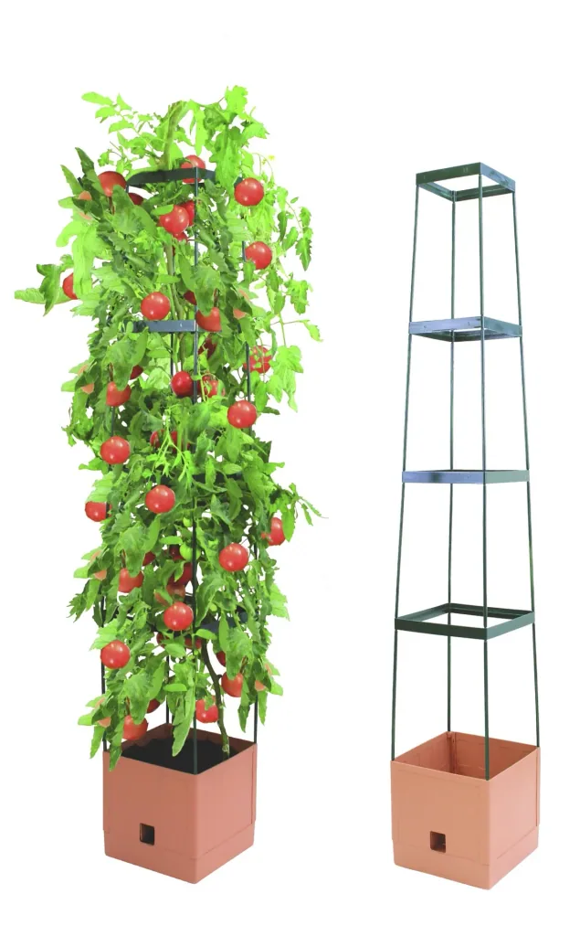 Plant tower Maxitom, anthracite in a value set with cover