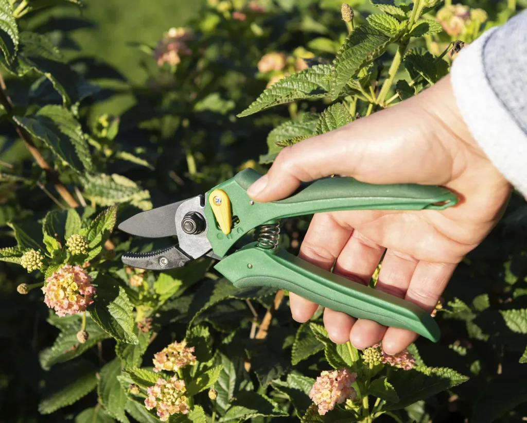 One-handed garden shears