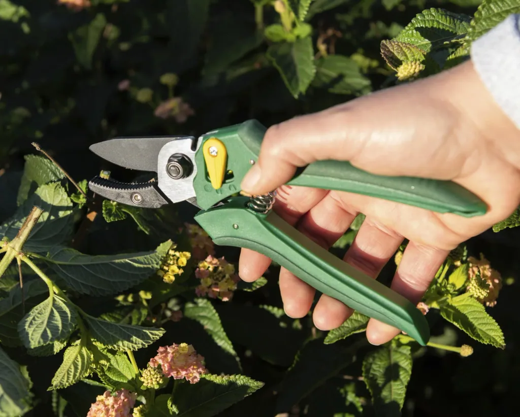 One-handed garden shears