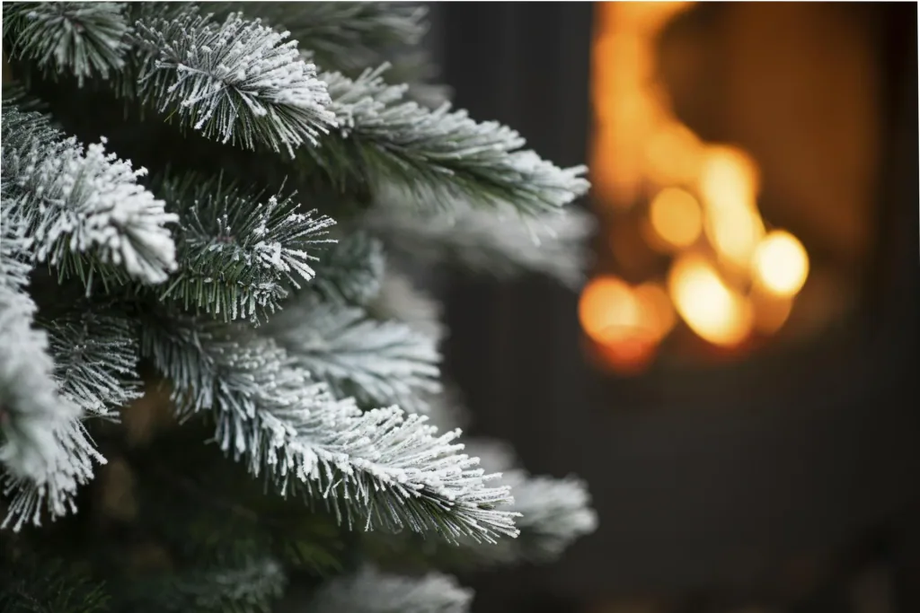 Christmas tree Cedar Pine Frost 180 cm