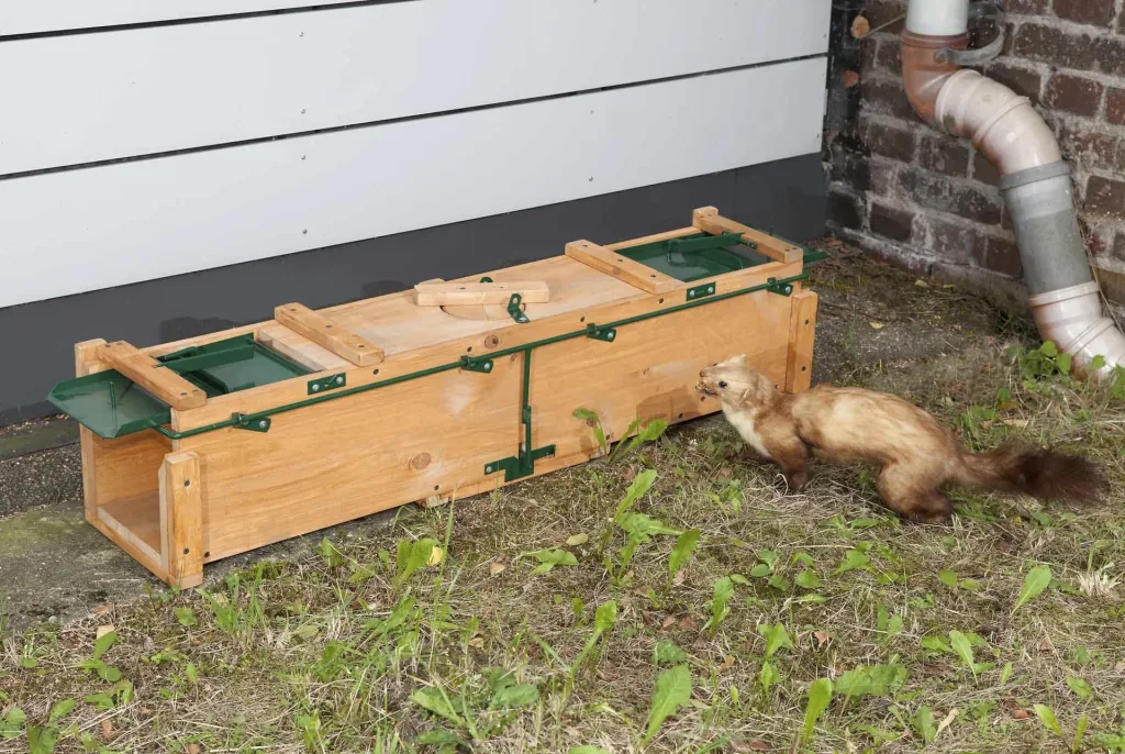 wooden box trap