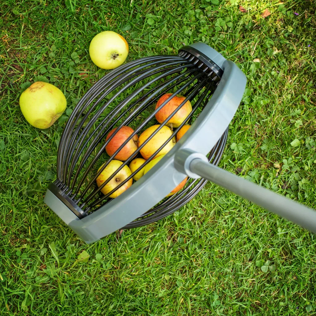Rolling collector / fruit collector, large with aluminum telescopic handle