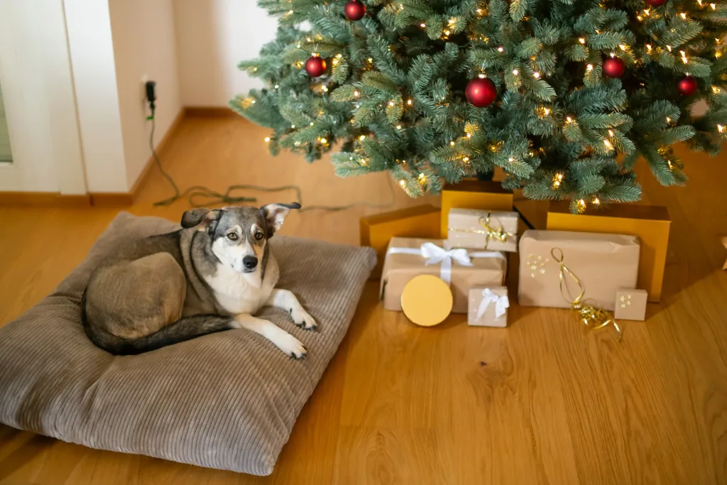 Evergreen Kunstmatige kerstboom Vermont Spar 210 cm | Incl. LED