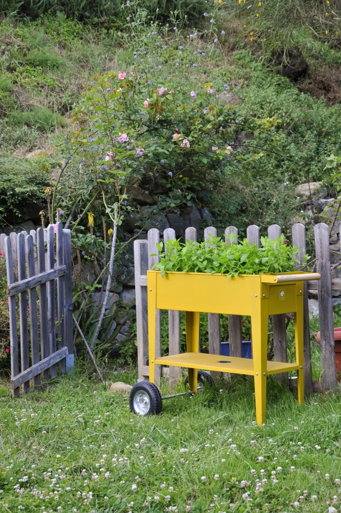 Herb factory Urban, yellow