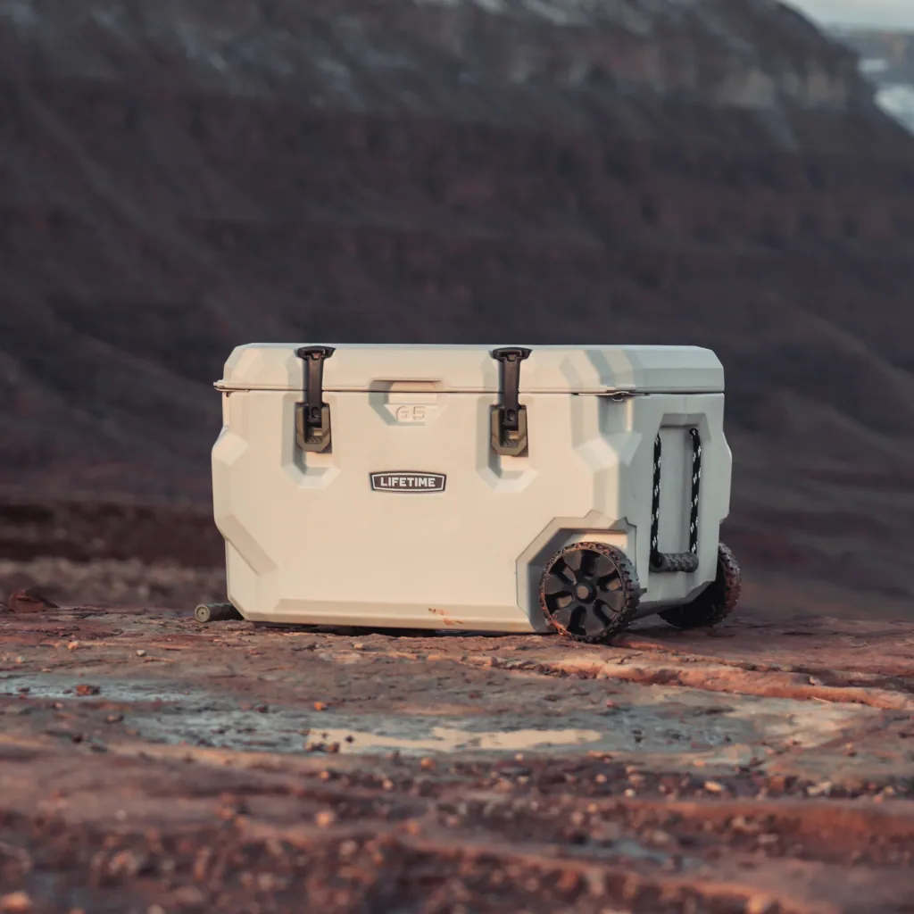 Premium 61.5 L cool box
