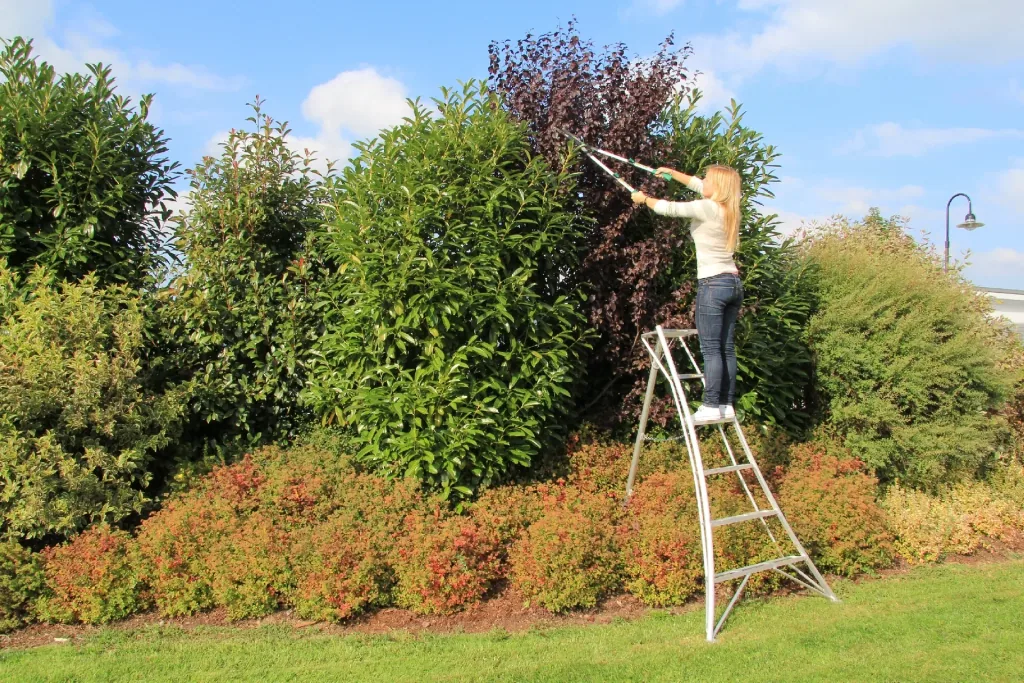 Niwaki 3-palige tuinladder, 180 cm