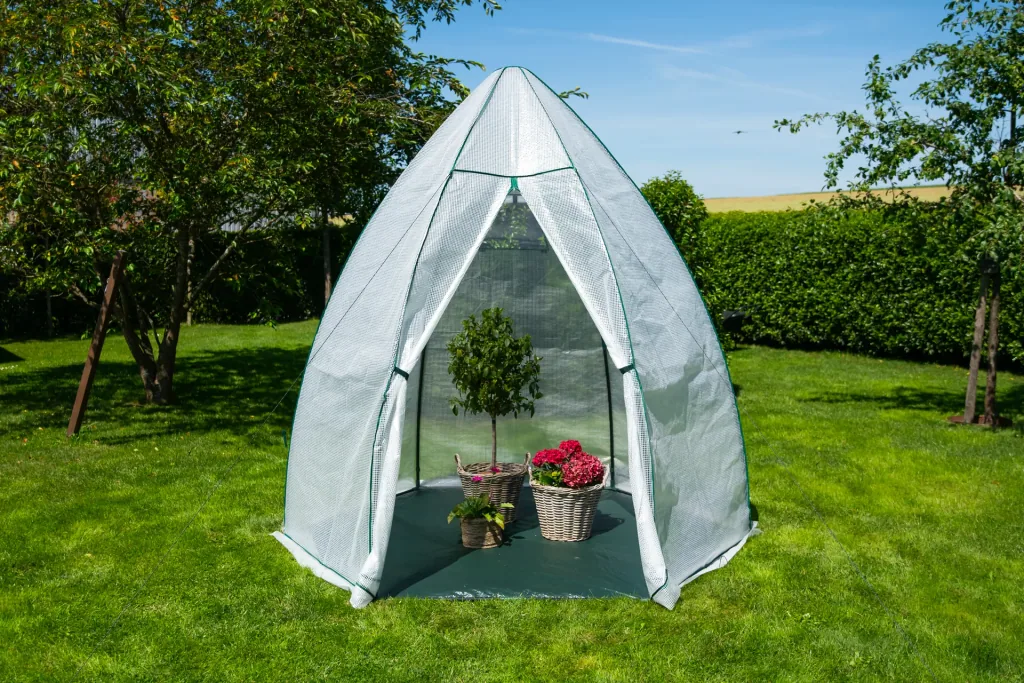 Polytunnel greenhouse winter tent avocado