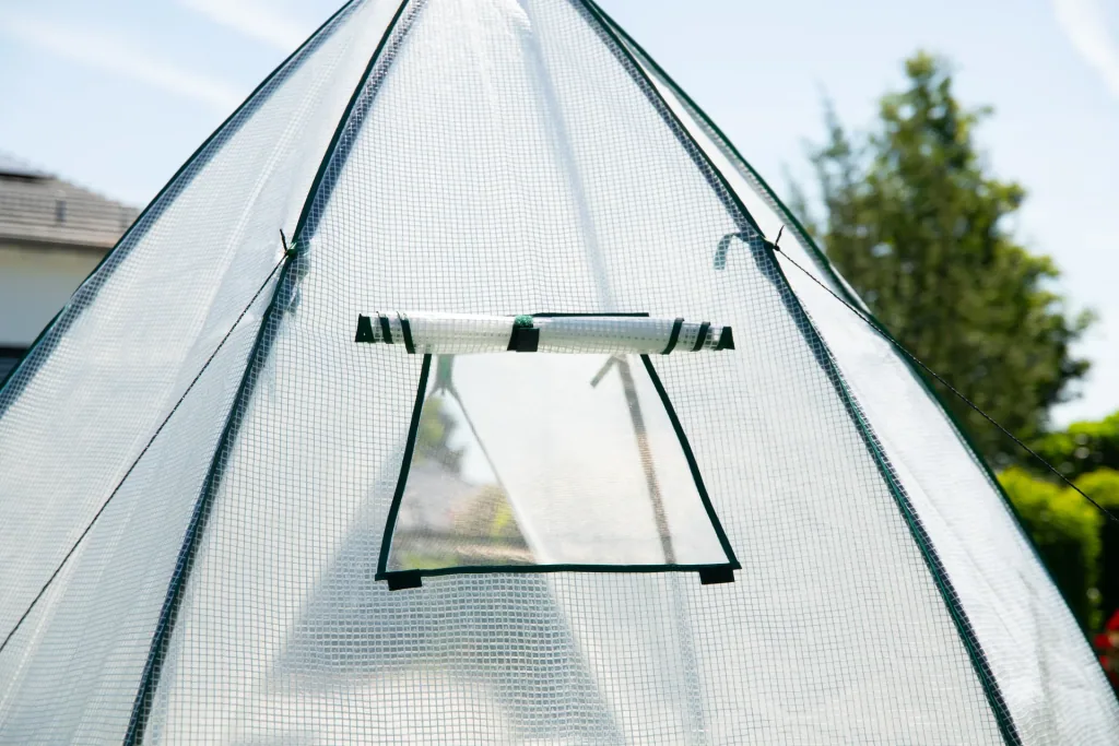 Polytunnel greenhouse winter tent avocado