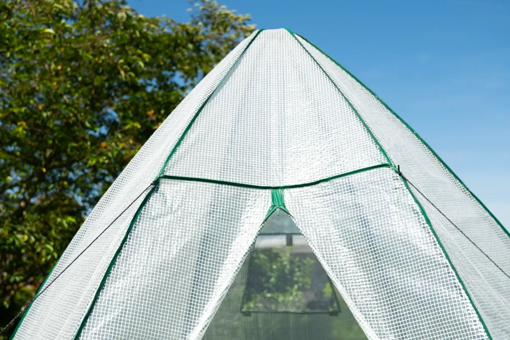 Polytunnel greenhouse winter tent avocado