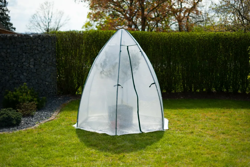 Polytunnel winter tent mint