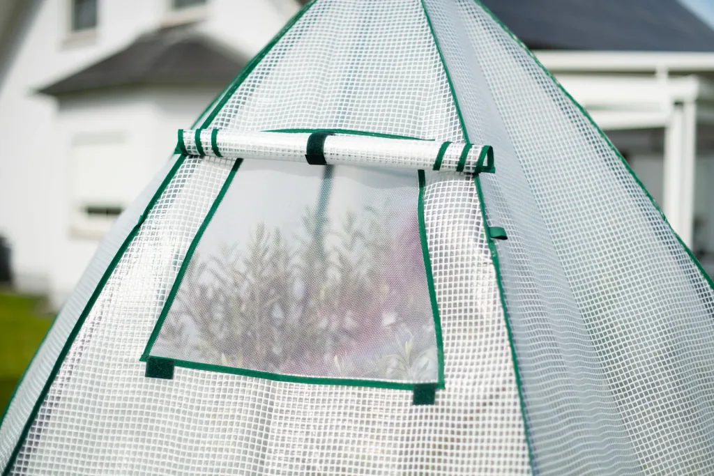 Polytunnel winter tent mint
