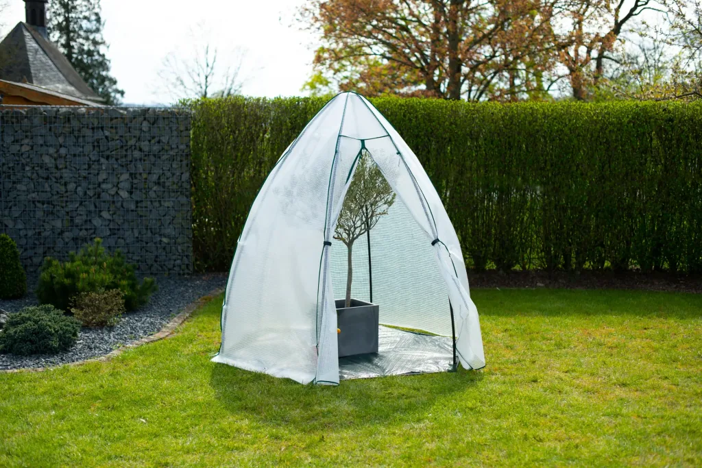 Polytunnel winter tent mint