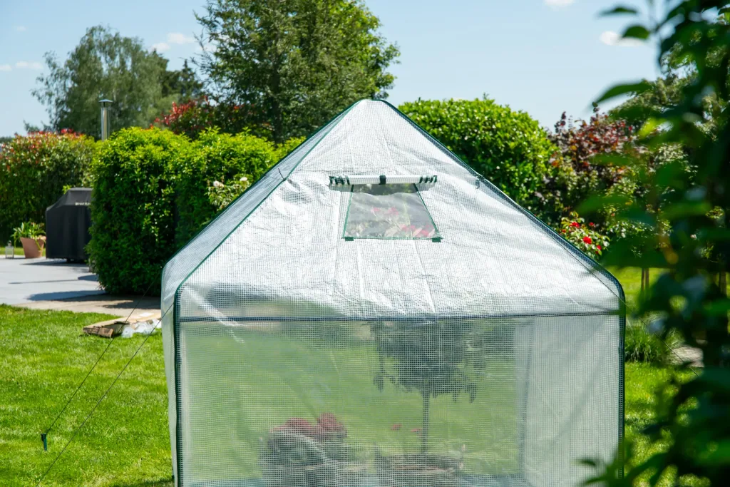 Polytunnel winter tent with floor pepperoni