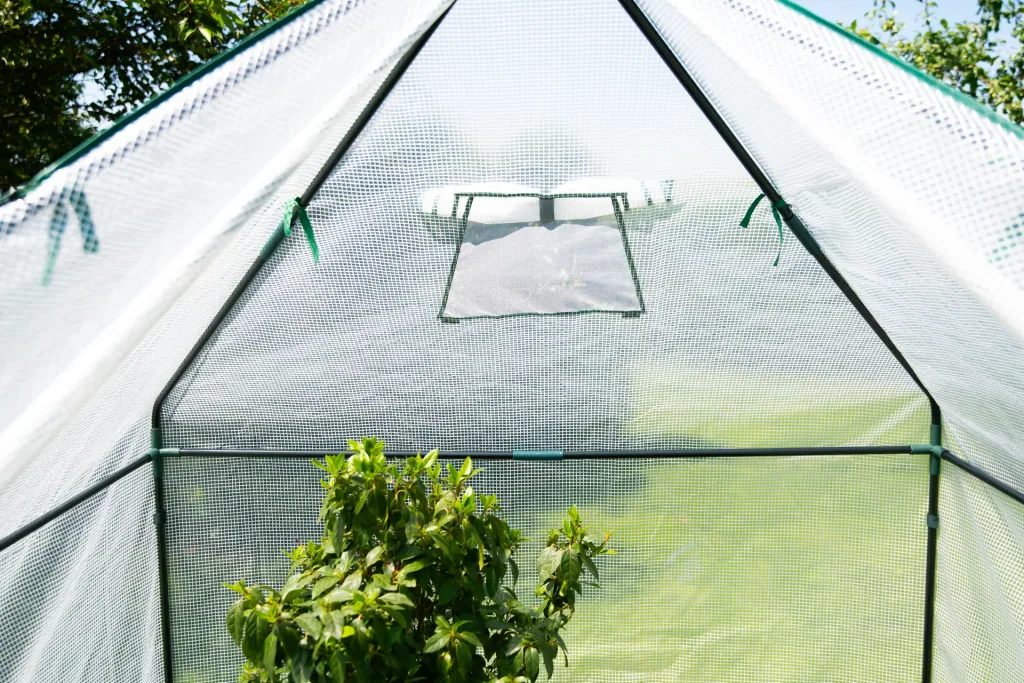 Polytunnel winter tent with floor pepperoni