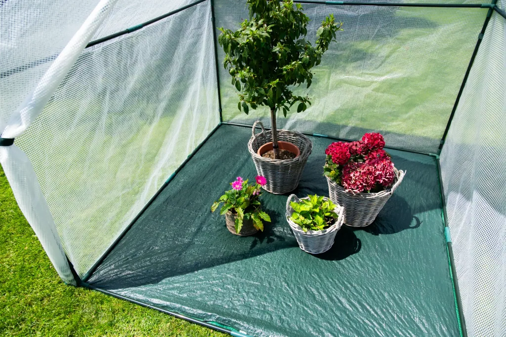 Polytunnel winter tent with floor pepperoni