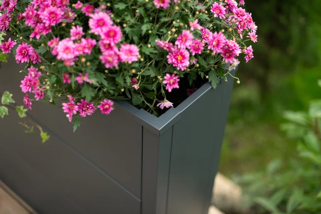Westmann Plantenbak Talus XL Metaal antraciet