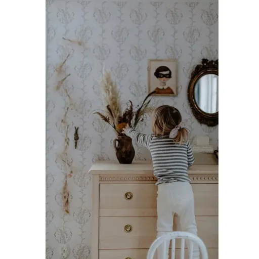 Gustavienne commode naturel