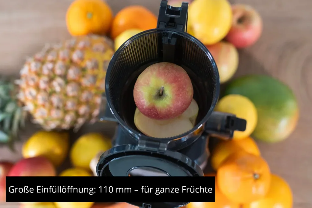 Juicer, Slow Juicer Sam