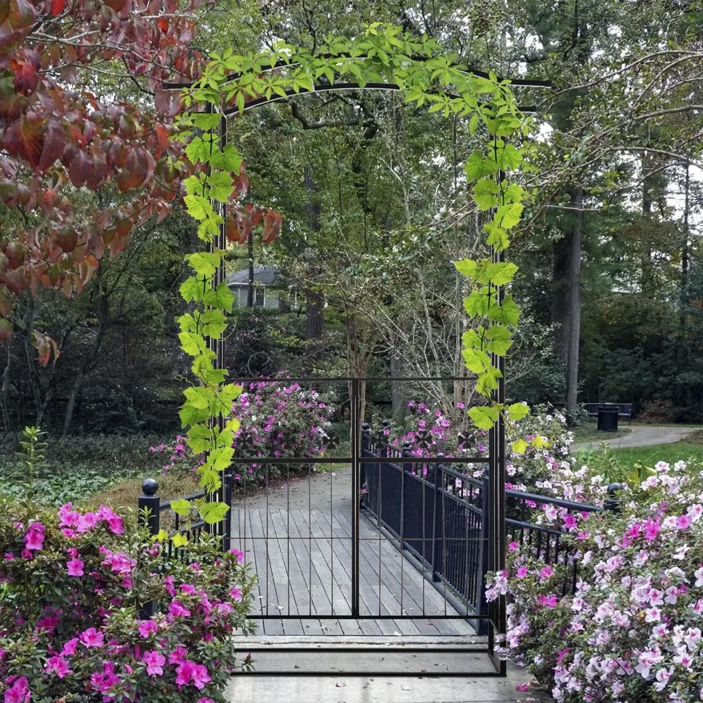 Plant arch archway with two door leaves trellis trellis garden arch roof metal black 131x 49 x 209 cm