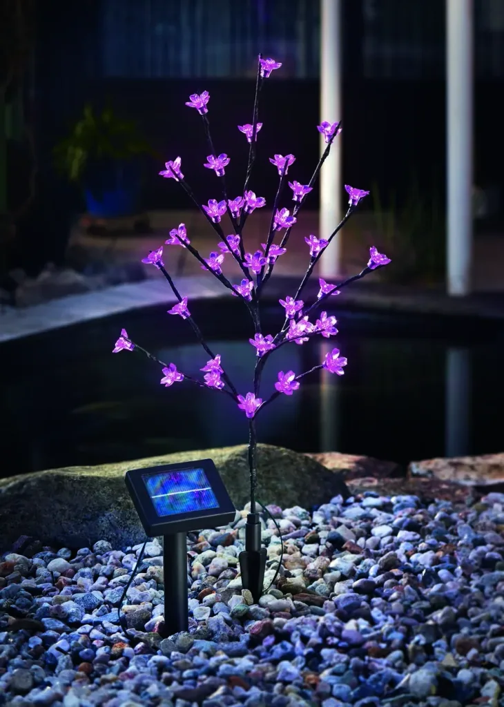 Solar flowering shrub