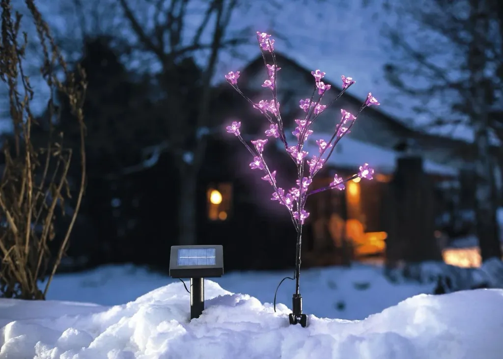 Solar flowering shrub