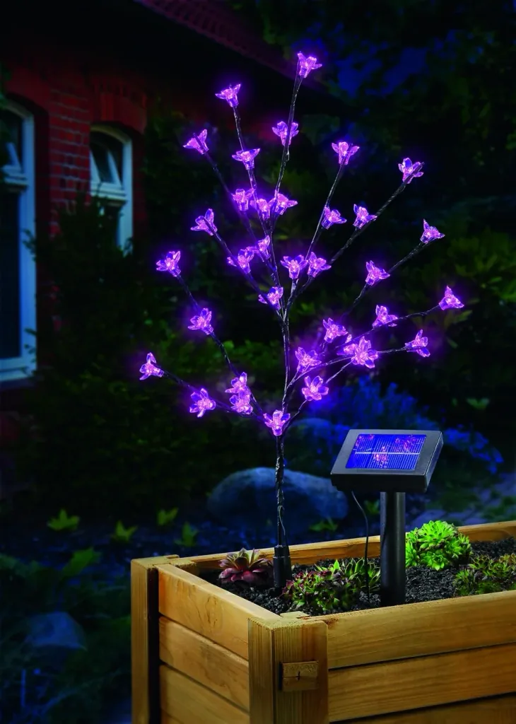 Solar flowering shrub