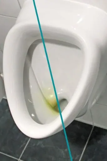 WC Shark 500 ml + FREE 1 x WC rim brush