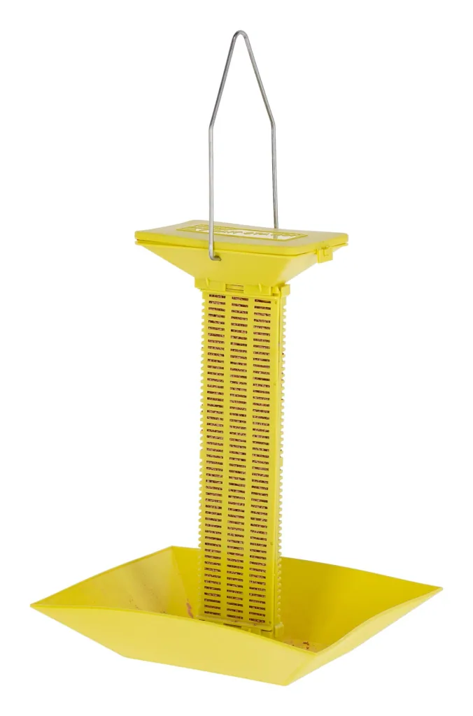 Fly bait station
