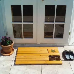 Doormat with brushes