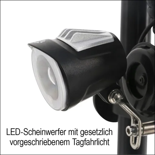 E-Roller "Revoluzzer" Basic 45 km/h schwarz