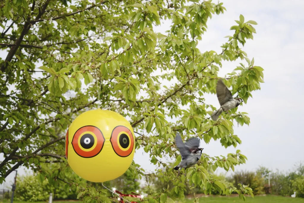 Bird-free balloon set of 2
