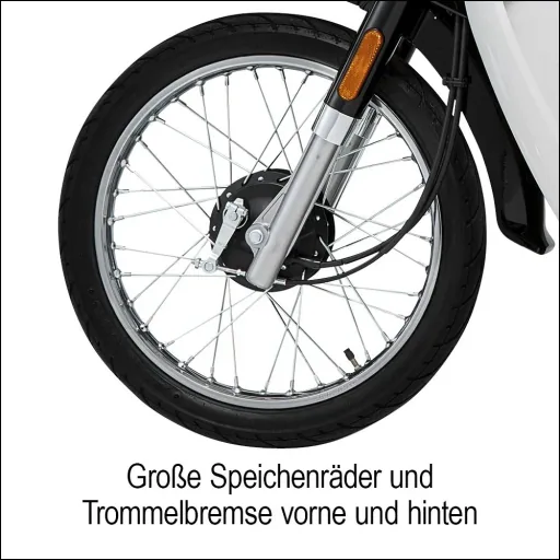 E-scooter "Turin" 45 km/h including 32 Ah lithium battery black/white